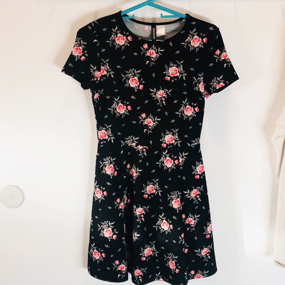 H&M Skater Dress